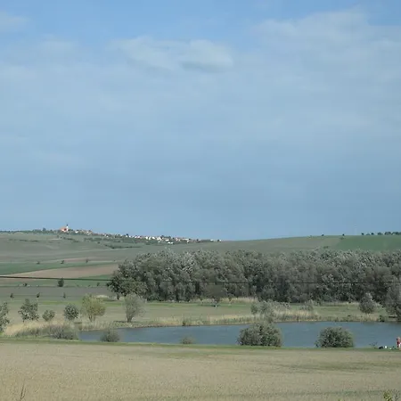 U Rybnika Bořetice