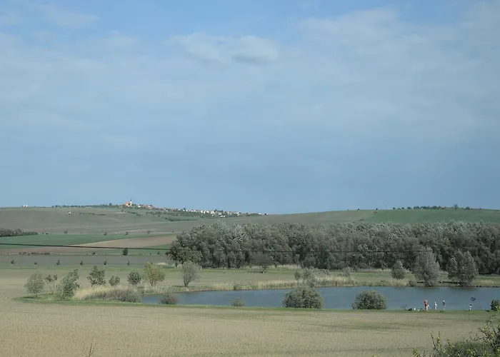 U Rybnika Bořetice